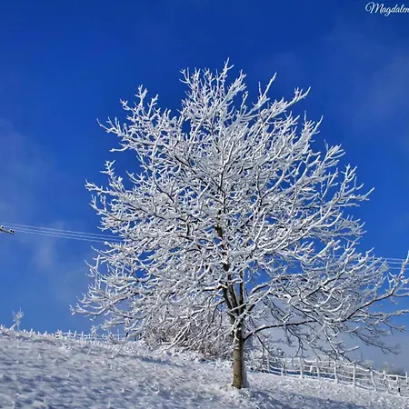 Domacinstvo Na Kraju Svijeta Šipovo