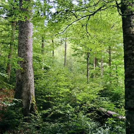 Domacinstvo Na Kraju Svijeta *