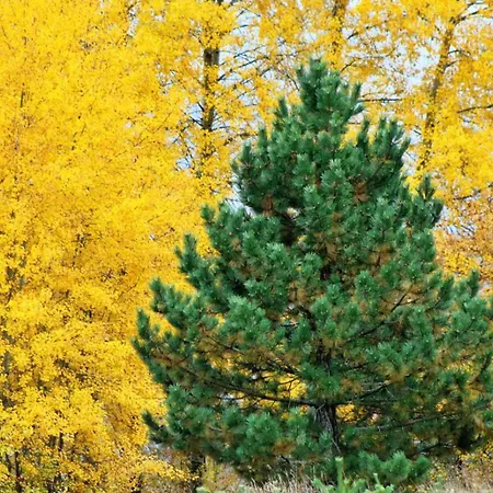 Domacinstvo Na Kraju Svijeta Landhaus Sipovo