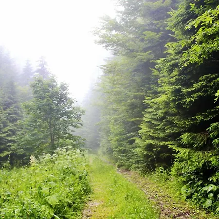 Hétvégi ház Domacinstvo Na Kraju Svijeta