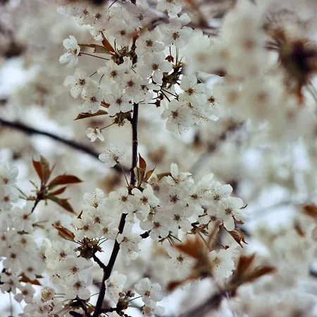 Domacinstvo Na Kraju Svijeta Landhaus