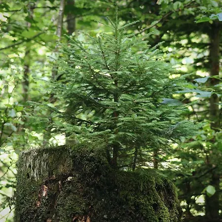 Landhaus Domacinstvo Na Kraju Svijeta