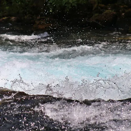 Domacinstvo Na Kraju Svijeta * Sipovo