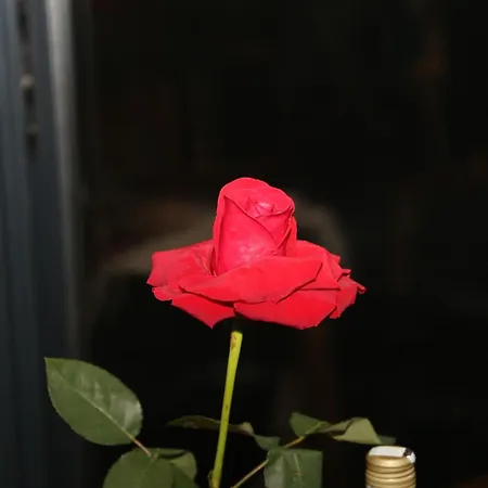 Domacinstvo Na Kraju Svijeta Landhaus *