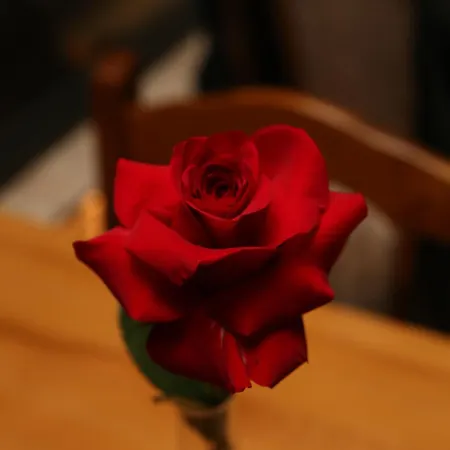 Domacinstvo Na Kraju Svijeta