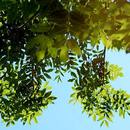 Landhaus Domacinstvo Na Kraju Svijeta