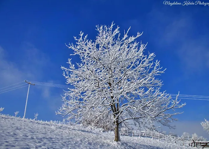 Domacinstvo Na Kraju Svijeta Šipovo