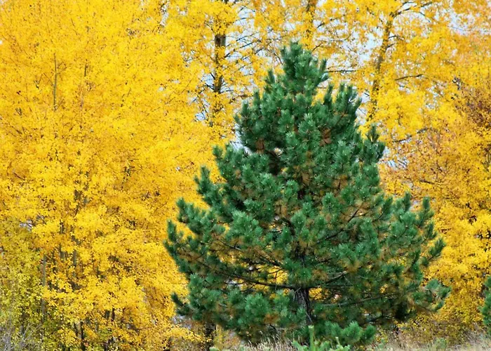Domacinstvo Na Kraju Svijeta Hétvégi ház Šipovo