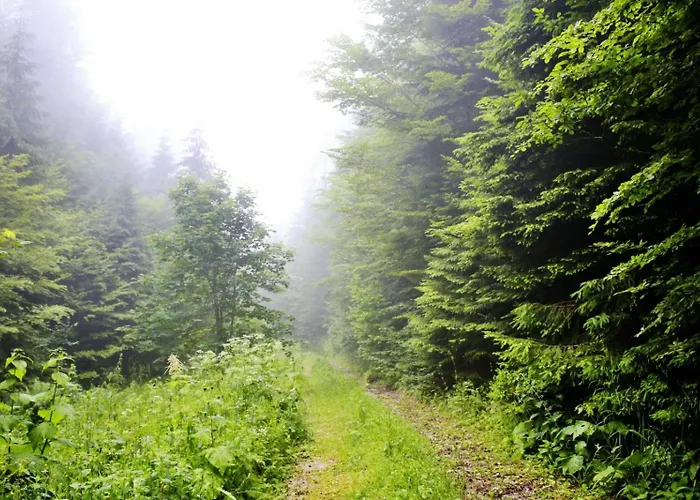 Hétvégi ház Domacinstvo Na Kraju Svijeta