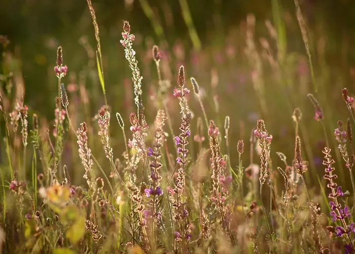 Hétvégi ház Domacinstvo Na Kraju Svijeta