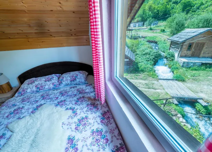 Domacinstvo Na Kraju Svijeta * Šipovo