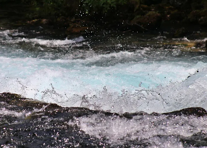 Domacinstvo Na Kraju Svijeta * Šipovo