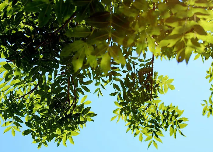 Hétvégi ház Domacinstvo Na Kraju Svijeta